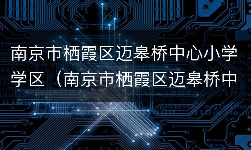 南京市栖霞区迈皋桥中心小学学区（南京市栖霞区迈皋桥中心小学怎么样）