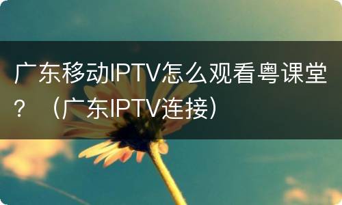 广东移动IPTV怎么观看粤课堂？（广东IPTV连接）