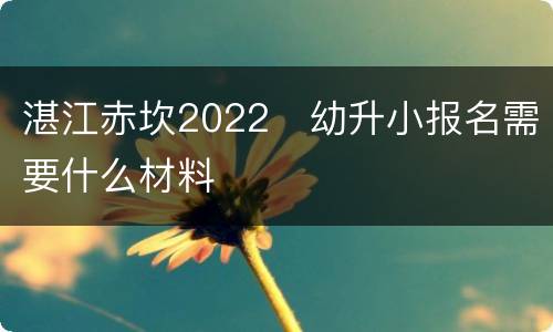 湛江赤坎2022​幼升小报名需要什么材料