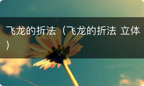 飞龙的折法（飞龙的折法 立体）