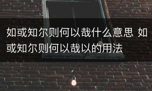 如或知尔则何以哉什么意思 如或知尔则何以哉以的用法