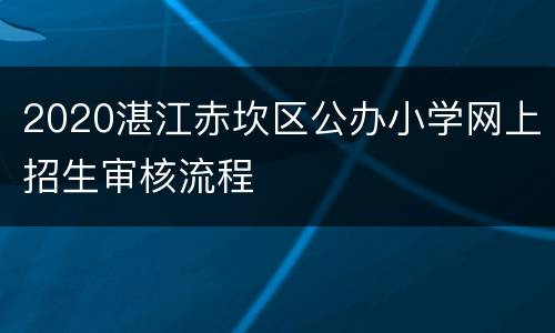 2020湛江赤坎区公办小学网上招生审核流程