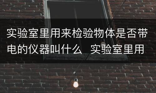 实验室里用来检验物体是否带电的仪器叫什么  实验室里用来检验物体是否带电的仪器叫做什么