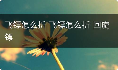 飞镖怎么折 飞镖怎么折 回旋镖