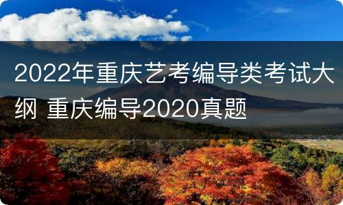 2022年重庆艺考编导类考试大纲 重庆编导2020真题