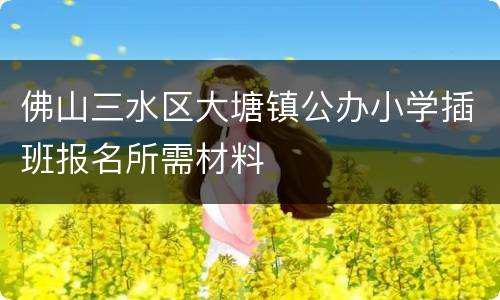 佛山三水区大塘镇公办小学插班报名所需材料