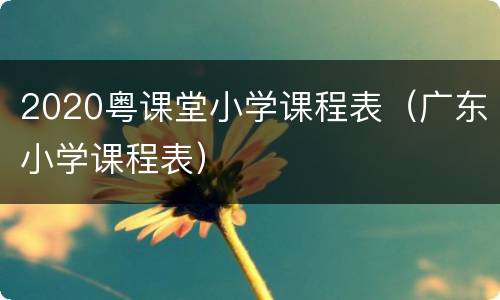 2020粤课堂小学课程表（广东小学课程表）