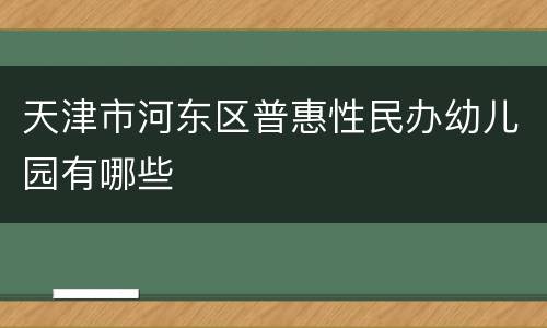 天津市河东区普惠性民办幼儿园有哪些