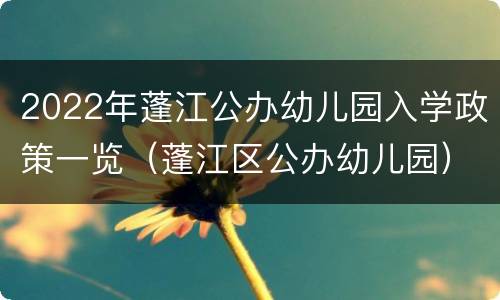 2022年蓬江公办幼儿园入学政策一览（蓬江区公办幼儿园）
