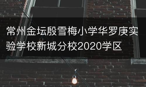 常州金坛殷雪梅小学华罗庚实验学校新城分校2020学区