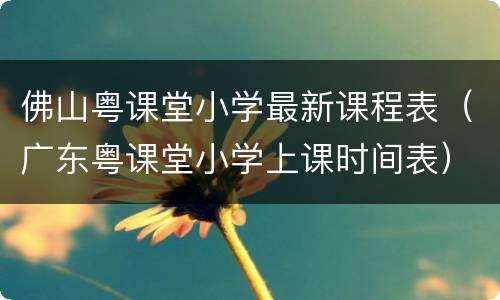 佛山粤课堂小学最新课程表（广东粤课堂小学上课时间表）