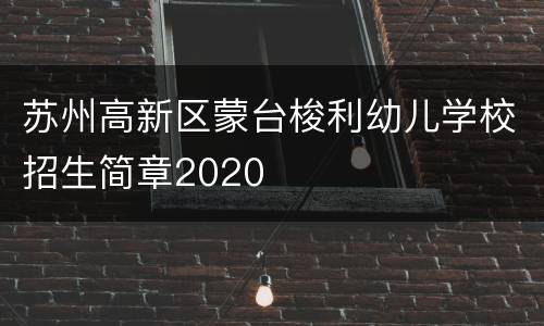 苏州高新区蒙台梭利幼儿学校招生简章2020