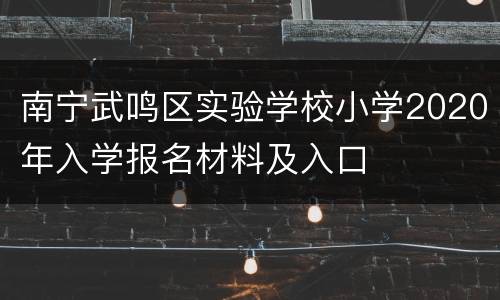 南宁武鸣区实验学校小学2020年入学报名材料及入口