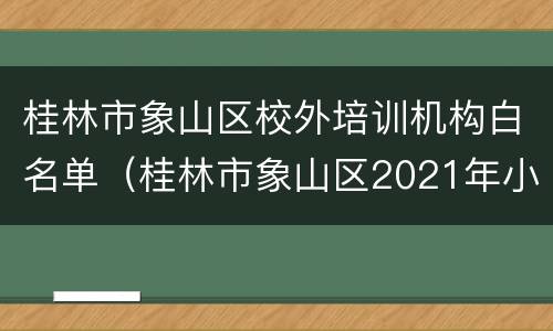 桂林市象山区校外培训机构白名单（桂林市象山区2021年小学招生）