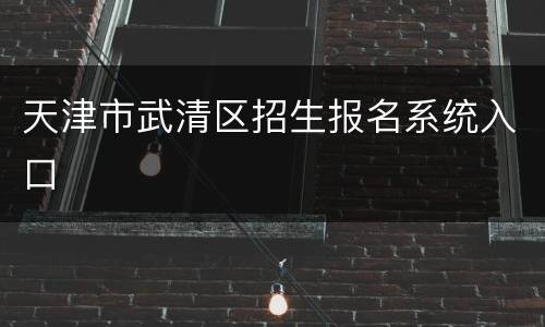 天津市武清区招生报名系统入口