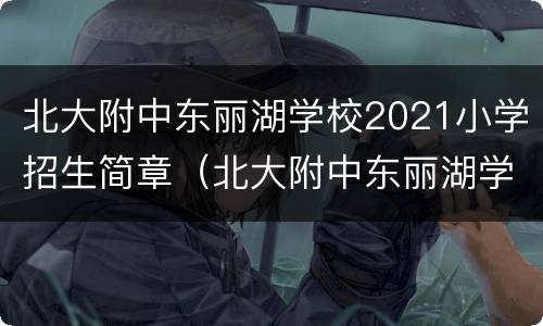 北大附中东丽湖学校2021小学招生简章（北大附中东丽湖学校高中招生）