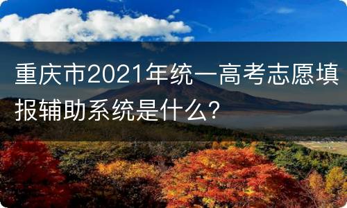 重庆市2021年统一高考志愿填报辅助系统是什么？