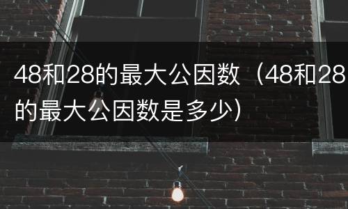 48和28的最大公因数（48和28的最大公因数是多少）