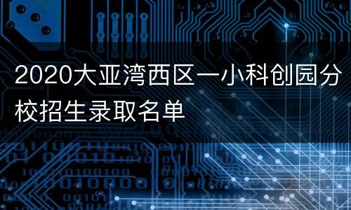 2020大亚湾西区一小科创园分校招生录取名单