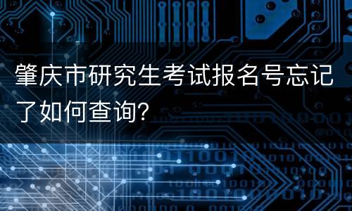 肇庆市研究生考试报名号忘记了如何查询？