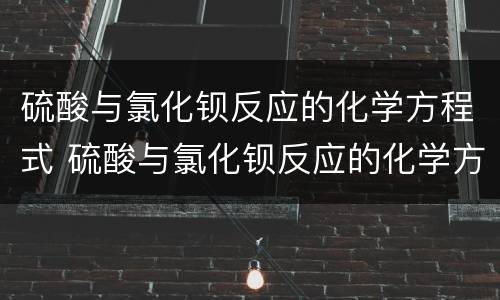 硫酸与氯化钡反应的化学方程式 硫酸与氯化钡反应的化学方程式及现象