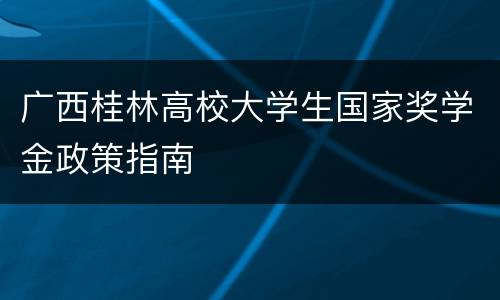 广西桂林高校大学生国家奖学金政策指南