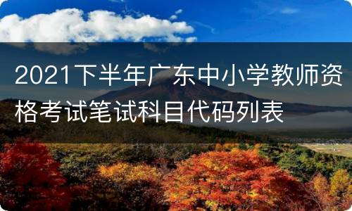 2021下半年广东中小学教师资格考试笔试科目代码列表
