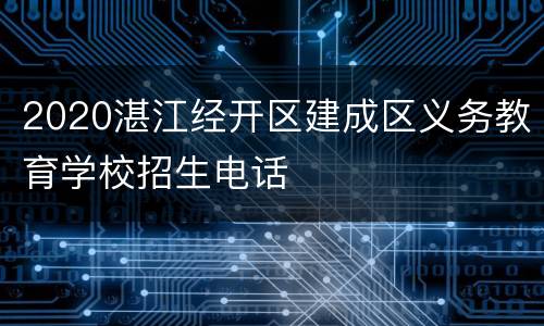 2020湛江经开区建成区义务教育学校招生电话