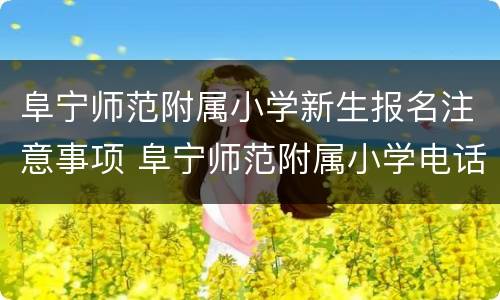 阜宁师范附属小学新生报名注意事项 阜宁师范附属小学电话