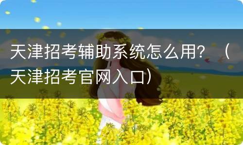 天津招考辅助系统怎么用？（天津招考官网入口）