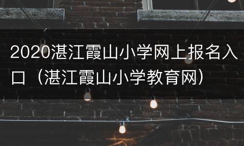 2020湛江霞山小学网上报名入口（湛江霞山小学教育网）