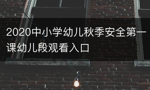 2020中小学幼儿秋季安全第一课幼儿段观看入口