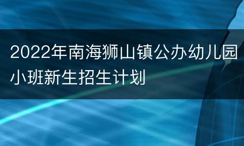 2022年南海狮山镇公办幼儿园小班新生招生计划