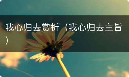 我心归去赏析（我心归去主旨）