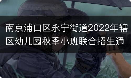 南京浦口区永宁街道2022年辖区幼儿园秋季小班联合招生通告