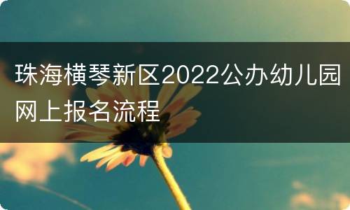 珠海横琴新区2022公办幼儿园网上报名流程