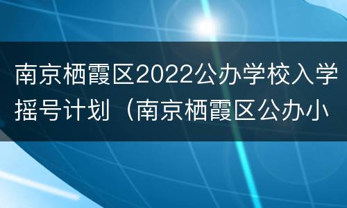 南京栖霞区2022公办学校入学摇号计划（南京栖霞区公办小学摇号）
