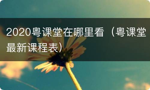 2020粤课堂在哪里看（粤课堂最新课程表）