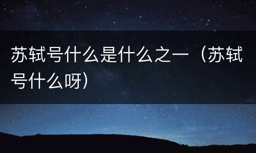 苏轼号什么是什么之一（苏轼号什么呀）