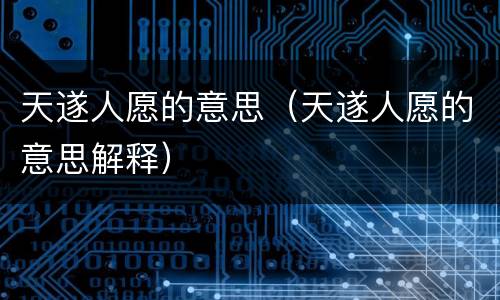 天遂人愿的意思（天遂人愿的意思解释）