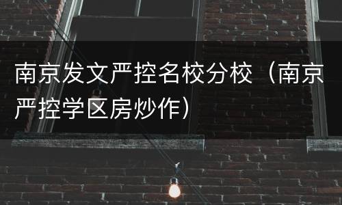 南京发文严控名校分校（南京严控学区房炒作）