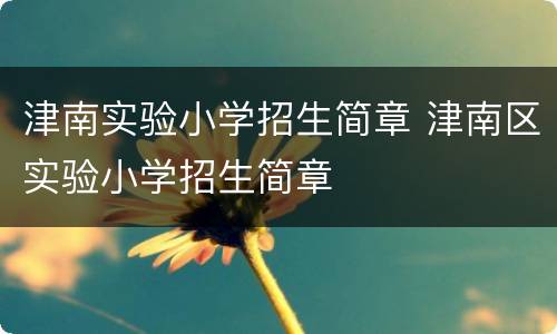 津南实验小学招生简章 津南区实验小学招生简章