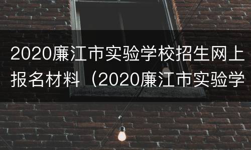 2020廉江市实验学校招生网上报名材料（2020廉江市实验学校招生网上报名材料有哪些）