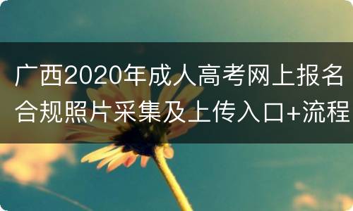 广西2020年成人高考网上报名合规照片采集及上传入口+流程