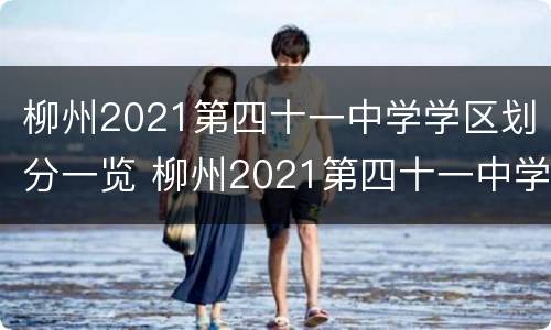 柳州2021第四十一中学学区划分一览 柳州2021第四十一中学学区划分一览表图片