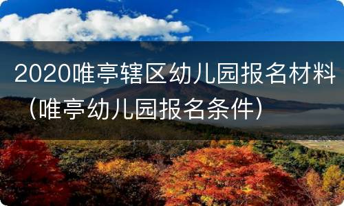 2020唯亭辖区幼儿园报名材料（唯亭幼儿园报名条件）