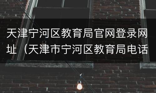 天津宁河区教育局官网登录网址（天津市宁河区教育局电话号码）