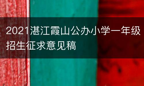 2021湛江霞山公办小学一年级招生征求意见稿