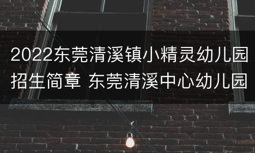 2022东莞清溪镇小精灵幼儿园招生简章 东莞清溪中心幼儿园2020招生
