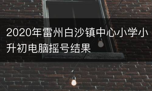 2020年雷州白沙镇中心小学小升初电脑摇号结果